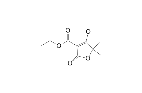 5,5-Dimethyl-3-(ethoxycarbonyl)-4-hydroxy-2(5H)-furanone