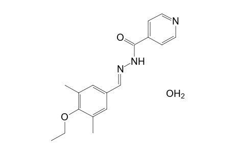 isonicotinic acid, (3,5-dimethyl-4-ethoxybenzylidene)hydrazide, monohydrate
