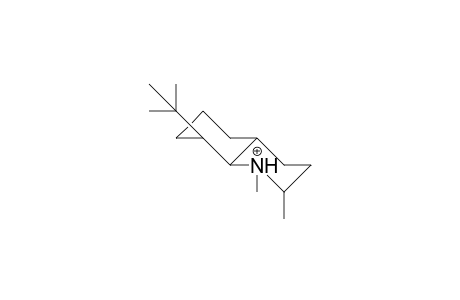 1,2a-Dimethyl-8a-tert-butyl-trans-decahydro-quinolinium cation
