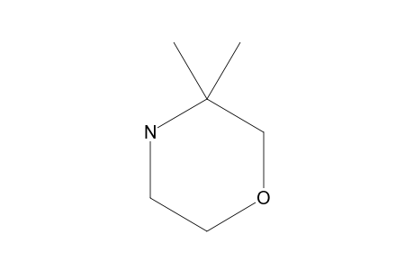 3,3-Dimethyl-morpholine