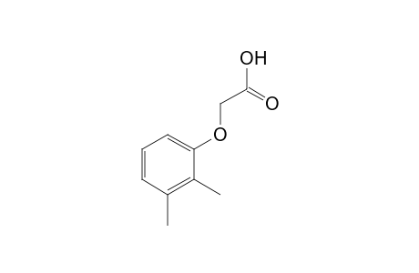2,3-xylyloxyacetic acid