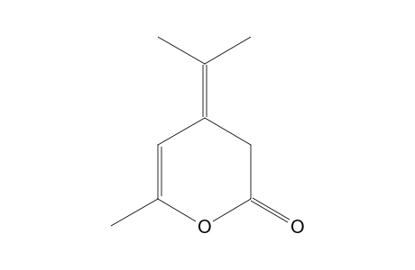 3,4-DIHYDRO-4-ISOPROPYLIDENE-6-METHYL-2H-PYRAN-2-ONE