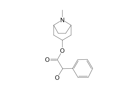 8-Methyl-8-azabicyclo[3.2.1]oct-3-yl hydroxy(phenyl)acetate