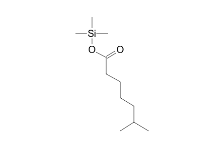 6-Methylheptanoic acid, tms