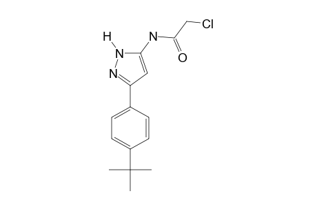 N-[3-(p-tert-butylphenyl)pyrazol-5-yl]-2-chloroacetamide