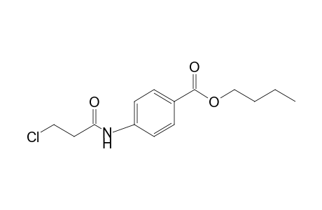 p-(3-chloropropionamido)benzoic acid, butyl ester
