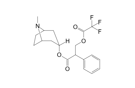 Atropine TFA