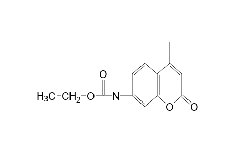 4-methyl-2-oxo-2H-1-benzopyran-7-carbamic acid, ethyl ester