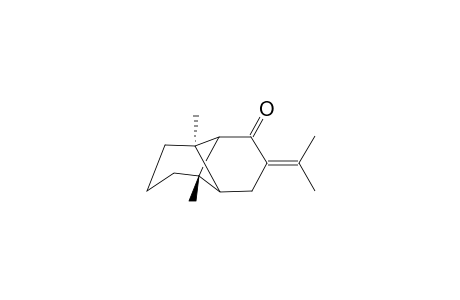 1,7-Dimethyl-4-isopropylidene-tricyclo(4.4.0.0/2,7/)decan-3-one