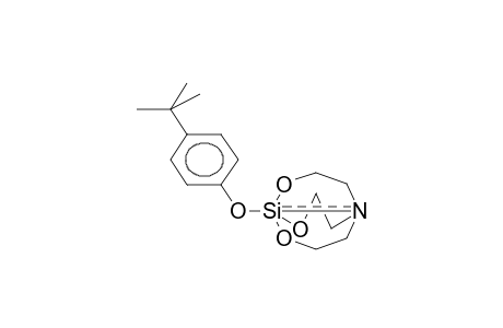 1-(4-TERT-BUTYLPHENOXY)SILATHRANE