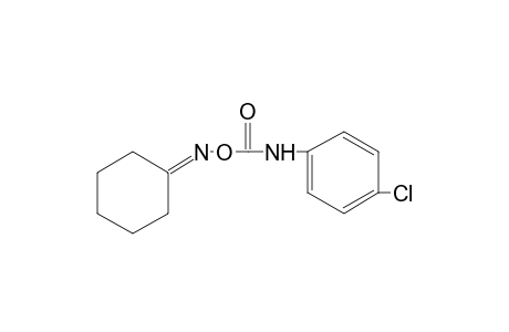 cyclohexanone, O-[(p-chlorophenyl)carbanoyl]oxime