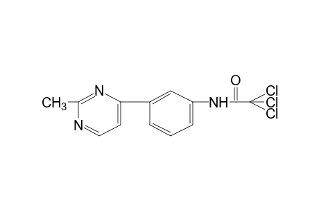 3'-(2-methyl-4-pyrimidinyl)-2,2,2-trichloroacetanilide