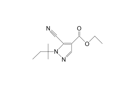 1-tert-amyl-5-cyano-pyrazole-4-carboxylic acid ethyl ester