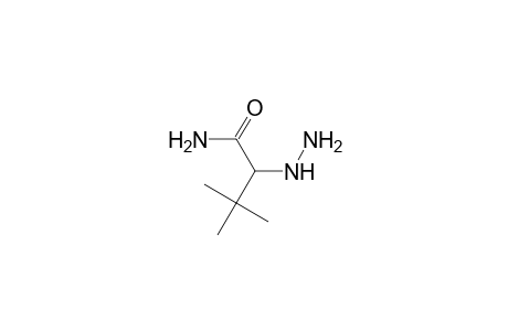 2-Diazanyl-3,3-dimethyl-butanamide