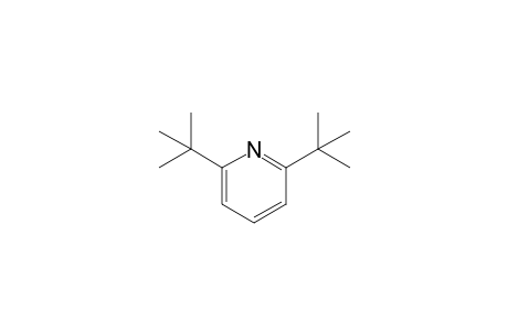 2,6-DI-tert-BUTYLPYRIDINE