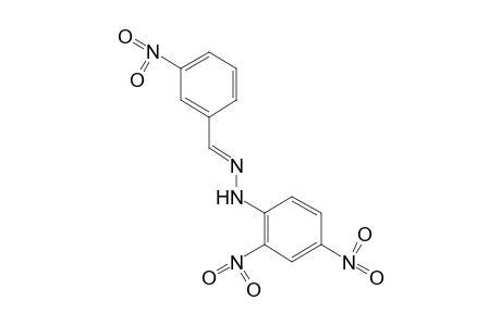 m-nitrobenzaldehyde, 2,4-dinitrophenylhydrazone
