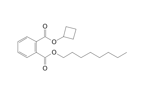 Phthalic acid, cyclobutyl octyl ester