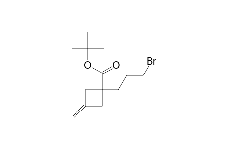 Cyclobutanecarboxylic acid, 1-(3-bromopropyl)-3-methylene-, 1,1-dimethylethyl ester