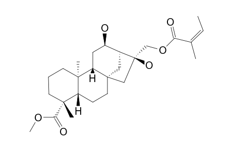 ENT-METHYL-12-ALPHA,16-ALPHA-DIHYDROXY-17-ANGELOXYKAURAN-19-OATE