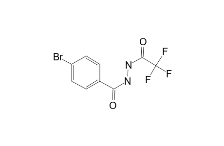 Acethydrazide, 2,2,2-trifluoro-N2-(4-bromobenzoyl)-