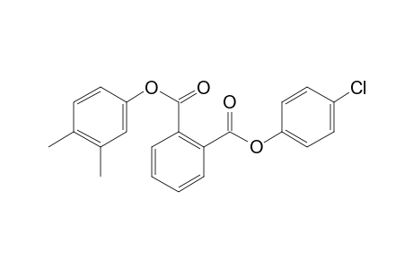 Phthalic acid, 4-chlorophenyl 3,4-dimethylphenyl ester