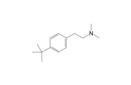 2-[4-(tert-butyl)phenyl]-N,N-dimethylethan-1-amine