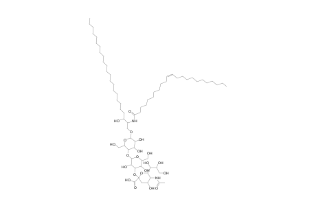 GM3 24:0;2O/23:1