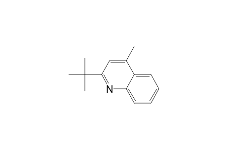 2-(1,1-DIMETHYLETHYL)-4-METHYL-QUINOLINE