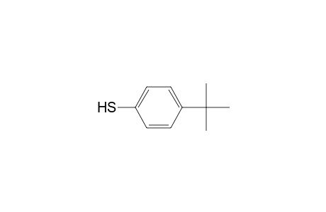 4-tert-Butylthiophenol