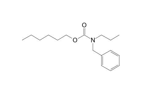 Carbonic acid, monoamide, N-benzyl-N-propyl-, hexyl ester