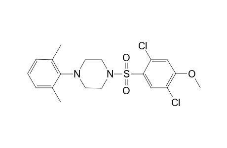 1-(2,5-dichloro-4-methoxy-phenyl)sulfonyl-4-(2,6-dimethylphenyl)piperazine