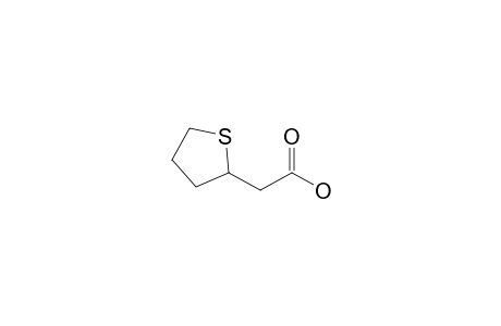 2-(2-Thiolanyl)acetic acid