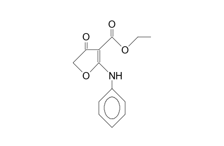 5-Phenylamino-2,3-didehydro-3(2H)-furanone-4-carboxylic acid, ethyl ester