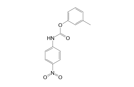 m-Tolyl N-(4-nitrophenyl)carbamate