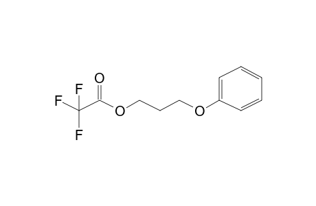 3-Phenoxypropyl 2,2,2-trifluoroacetate