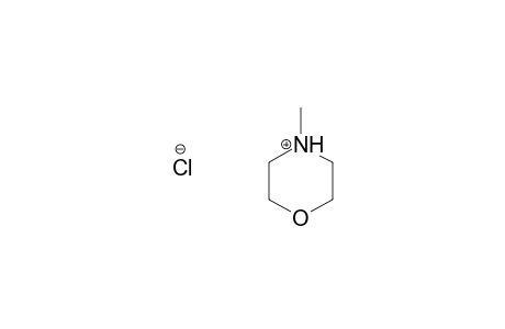 4-METHYL-MORPHOLINE-HYDROCHLORIDE