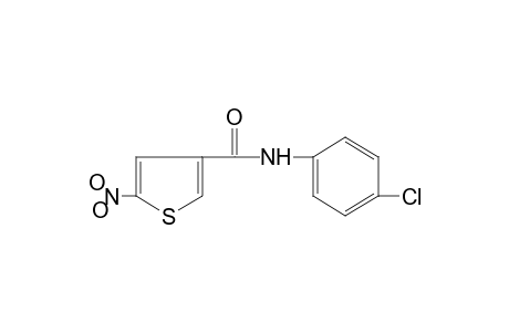 4'-chloro-5-nitro-3-thiophenecarboxanilide