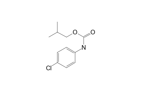 Carbonic acid, monoamide, N-(4-chlorophenyl)-, 2-methylpropyl ester