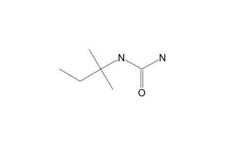 tert-PENTYLUREA