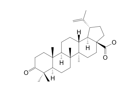 3-oxolup-20(29)-en-28-oic acid