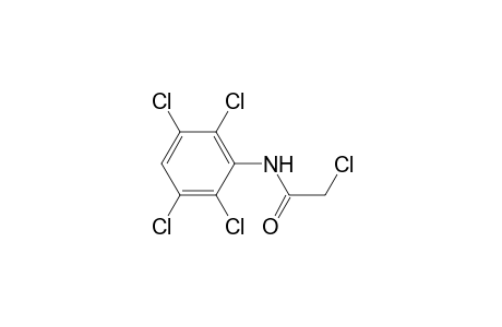 2-Chloro-N-(2,3,5,6-tetrachlorophenyl)acetamide