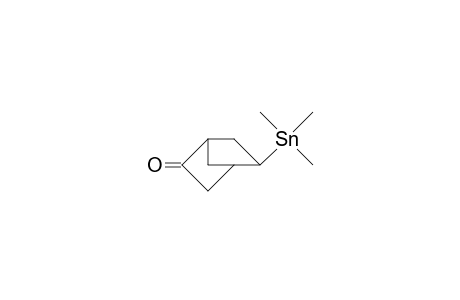 exo-2-Trimethylstannyl-norbornan-5-one