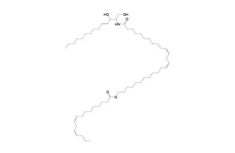 Cer 14:1;2O/26:2;O(FA 16:2)