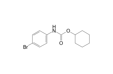 p-bromocarbanilic acid, cyclohexyl ester