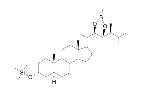 Deoxotyphasterol MB TMSi dev