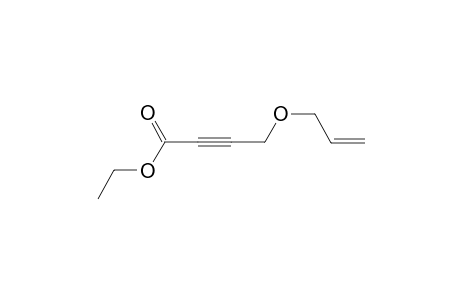 Ethyl 4-(allyloxy)but-2-ynoate