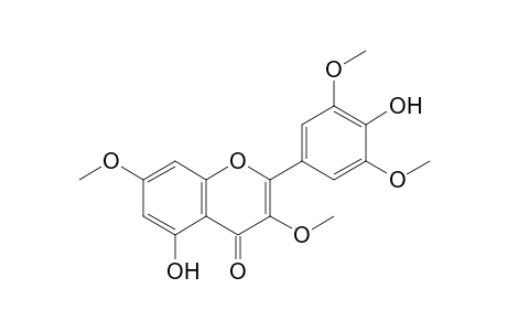 2-(3,5-dimethoxy-4-oxidanyl-phenyl)-3,7-dimethoxy-5-oxidanyl-chromen-4-one