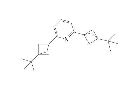 2,6-bis[3'-t-Butylbicyclo[1.1.1]pent-1'-yl]pyridine