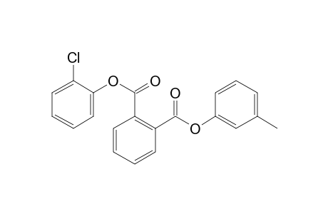 Phthalic acid, 2-chlorophenyl 3-methylphenyl ester