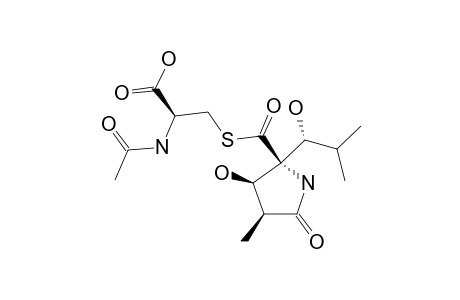 LACTACYSTEIN